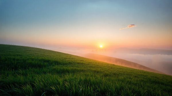 10 raisons pour lesquelles la transition écologique façonne notre avenir