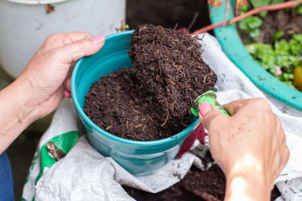 Comment lancer son compost ?