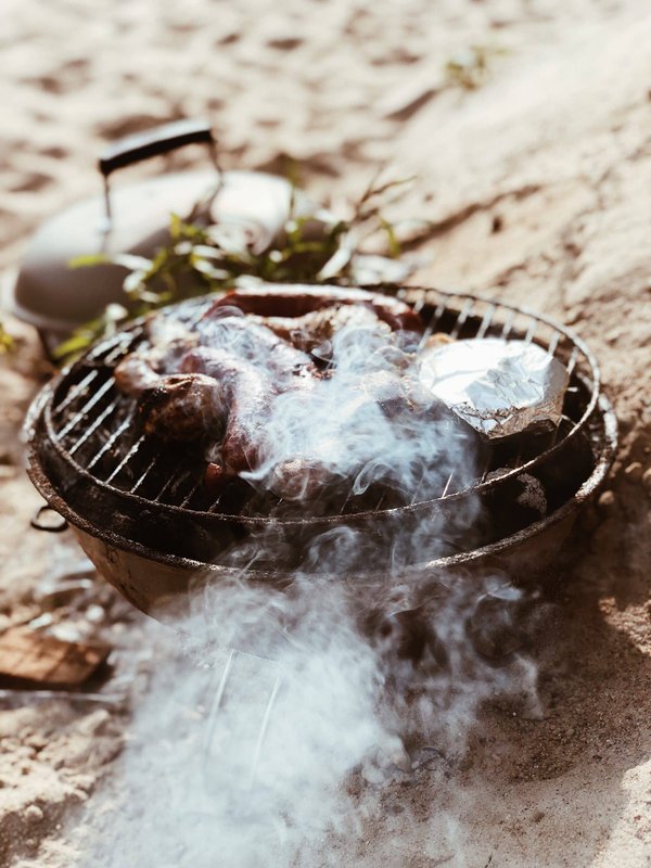 Comment choisir le meilleur barbecue pour vos besoins ?