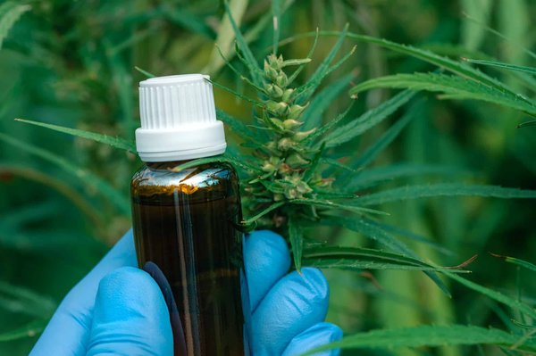 Le CBD : Quels sont ses bienfaits et usages les plus courants ?