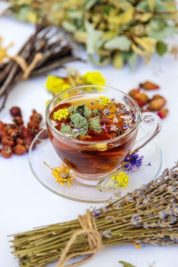 Comment reconnaitre les plantes médicinales?